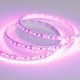 Лента светодиодная Arlight 015897(2) RT открытая