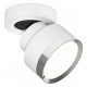 Спот Ambrella Light XM8101003 XM