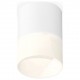 Накладной светильник Ambrella Light XS7401045 XS