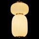 Подвесной светильник Loft it 10422/B Duff