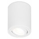 Накладной светильник Ambrella Light TN225 TN