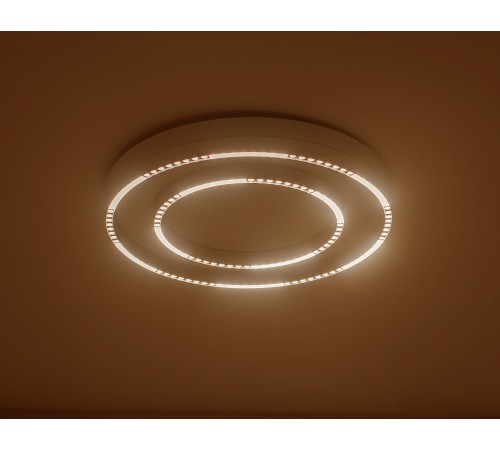Накладной светильник Ambrella Light FL5821 FL Накладной светильник Ambrella Light FL5821 FL