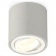Накладной светильник Ambrella Light XS7533001 XS