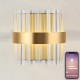 Накладной светильник Natali Kovaltseva LED LAMPS 81125/1W ROYALTON
