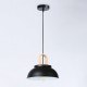 Подвесной светильник Ambrella Light TR8192 TR