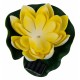 Растение Uniel UL-00011600 WATERLILY
