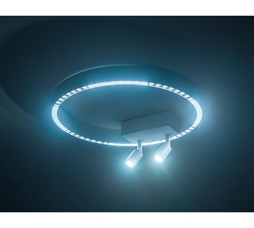 Накладной светильник Ambrella Light FL5805 FL Накладной светильник Ambrella Light FL5805 FL