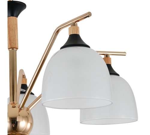 Подвесная люстра Escada 2123/5P Actinidia Подвесная люстра Escada 2123/5P Actinidia