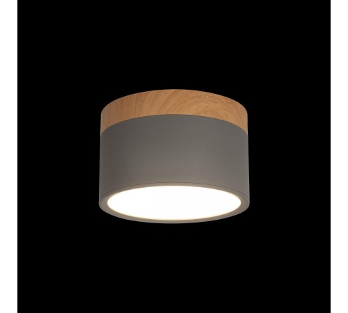Накладной светильник Loft it 10162 Grey Grape Накладной светильник Loft it 10162 Grey Grape
