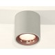Накладной светильник Ambrella Light XS7533025 XS