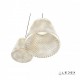 Подвесной светильник iLedex WD8007-3 CR Flora