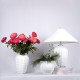 Настольная лампа декоративная Loft it 10265T/L Blanca