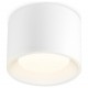 Накладной светильник Ambrella Light TN5321 TN