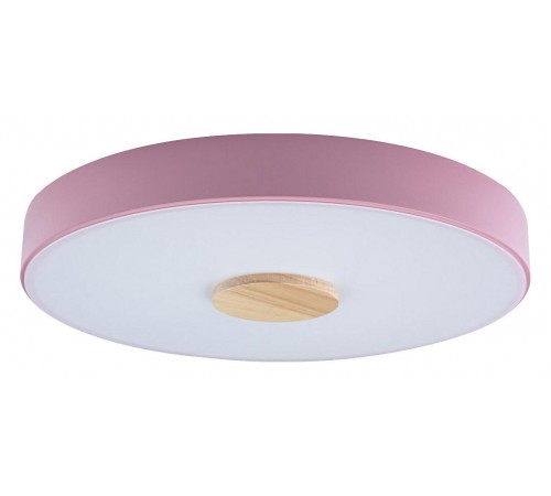 Накладной светильник Loft it 10003/24 Pink Axel 2