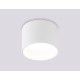 Накладной светильник Ambrella Light TN52881 TN