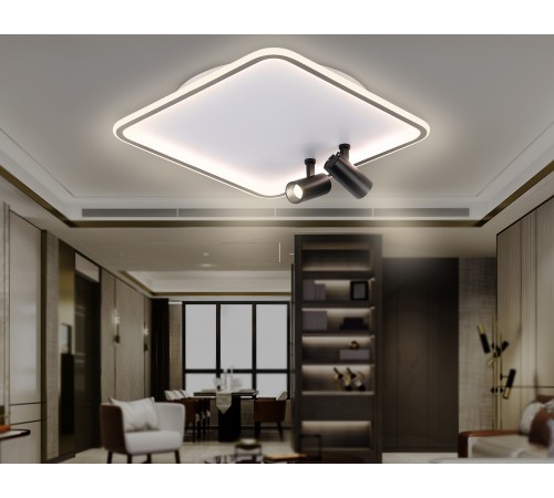 Накладной светильник Ambrella Light FL5115 FL Накладной светильник Ambrella Light FL5115 FL