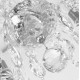 Подвесная люстра Bohemia Ivele Crystal 1402/5/160/Ni 1402