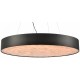 Подвесной светильник Wertmark WE510.02.723 Edera