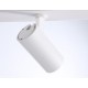 Накладной светильник Ambrella Light FL66201 FL