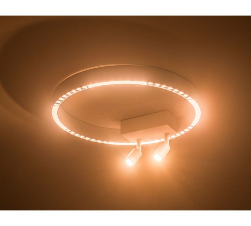 Накладной светильник Ambrella Light FL5805 FL Накладной светильник Ambrella Light FL5805 FL
