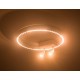 Накладной светильник Ambrella Light FL5805 FL