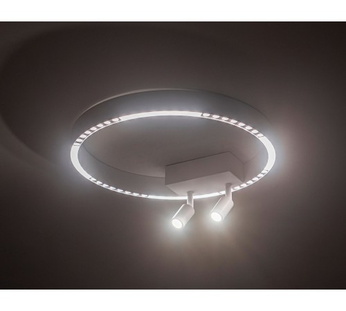 Накладной светильник Ambrella Light FL5805 FL Накладной светильник Ambrella Light FL5805 FL