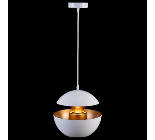 Подвесной светильник Loft it LOFT2213-A Apple Подвесной светильник Loft it LOFT2213-A Apple