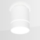 Накладной светильник Ambrella Light TN256 TN