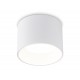 Накладной светильник Ambrella Light TN52881 TN