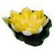 Растение Uniel UL-00011600 WATERLILY