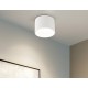 Накладной светильник Ambrella Light TN52881 TN