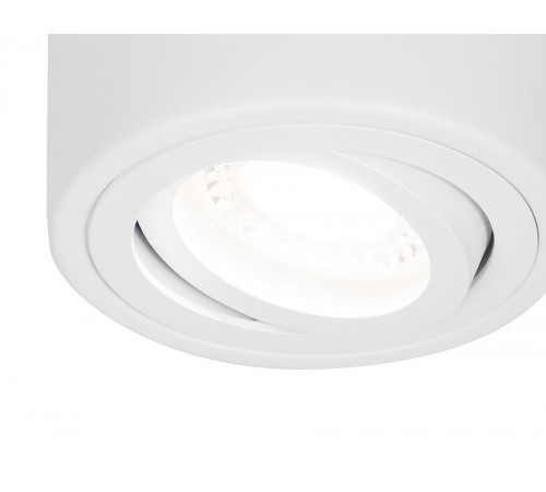 Накладной светильник Ambrella Light TN225 TN Накладной светильник Ambrella Light TN225 TN