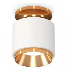 Накладной светильник Ambrella Light XS7510120 XS