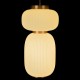 Подвесной светильник Loft it 10422/B Duff