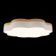 Накладной светильник Loft it 10225/36 White Axel