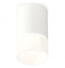 Накладной светильник Ambrella Light XS7421025 XS