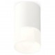 Накладной светильник Ambrella Light XS7421025 XS