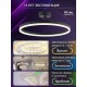 Светильник на штанге Natali Kovaltseva LED LAMPS 81121/2C FINAM