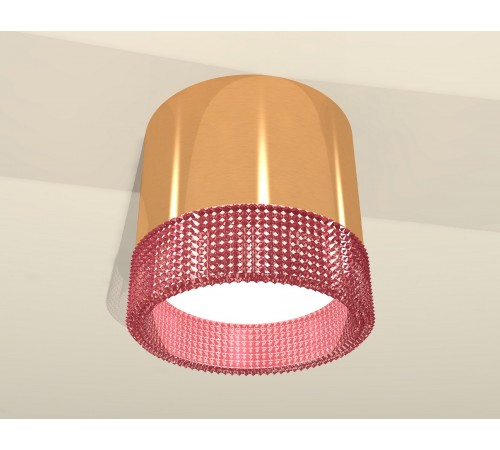 Накладной светильник Ambrella Light XS8121022 XS Накладной светильник Ambrella Light XS8121022 XS