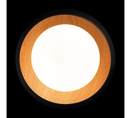 Накладной светильник Loft it 10255/500 Black Folk Накладной светильник Loft it 10255/500 Black Folk