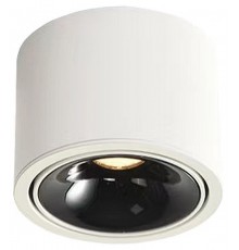 Накладной светильник Wertmark WTA.O06.067.40.07 WTA.O06