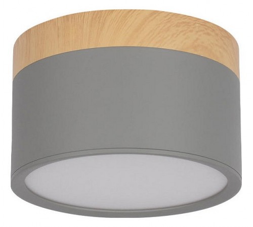 Накладной светильник Loft it 10162 Grey Grape Накладной светильник Loft it 10162 Grey Grape
