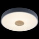 Накладной светильник Loft it 10003/24 Grey Axel 2