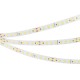 Лента светодиодная Arlight 036314 ULTRA