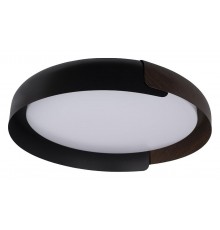 Накладной светильник Loft it 10198 Black Coin