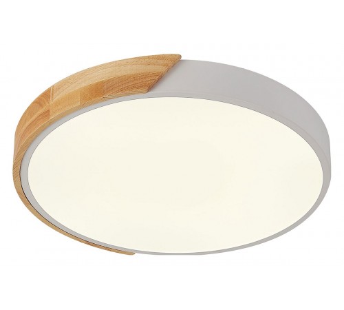 Накладной светильник Natali Kovaltseva LED LAMPS 81181 Scandinavian Накладной светильник Natali Kovaltseva LED LAMPS 81181 Scandinavian
