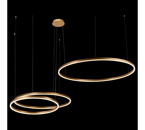 Подвесной светильник Loft it 10017/3L Ring Подвесной светильник Loft it 10017/3L Ring