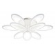 Потолочная люстра Escada 10242/9LED Ecla