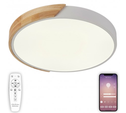 Накладной светильник Natali Kovaltseva LED LAMPS 81181 Scandinavian Накладной светильник Natali Kovaltseva LED LAMPS 81181 Scandinavian
