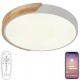Накладной светильник Natali Kovaltseva LED LAMPS 81181 Scandinavian